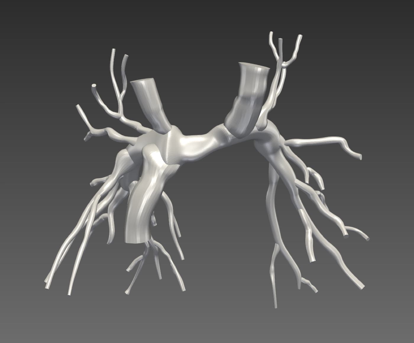 Reconstructed unified Fontan vascular model rendered as a smooth silver surface